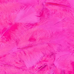 Veertjes Fuchsia Roze