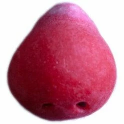 Grimas Latex Clownsneus Nr. 100