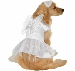 Honden Kostuum Bruidsjurk