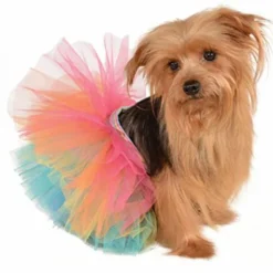 Honden Kostuum Tutu Regenboog