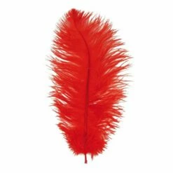 Struisveer 34-38 Cm Rood