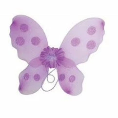 Vlinder Vleugel Paars