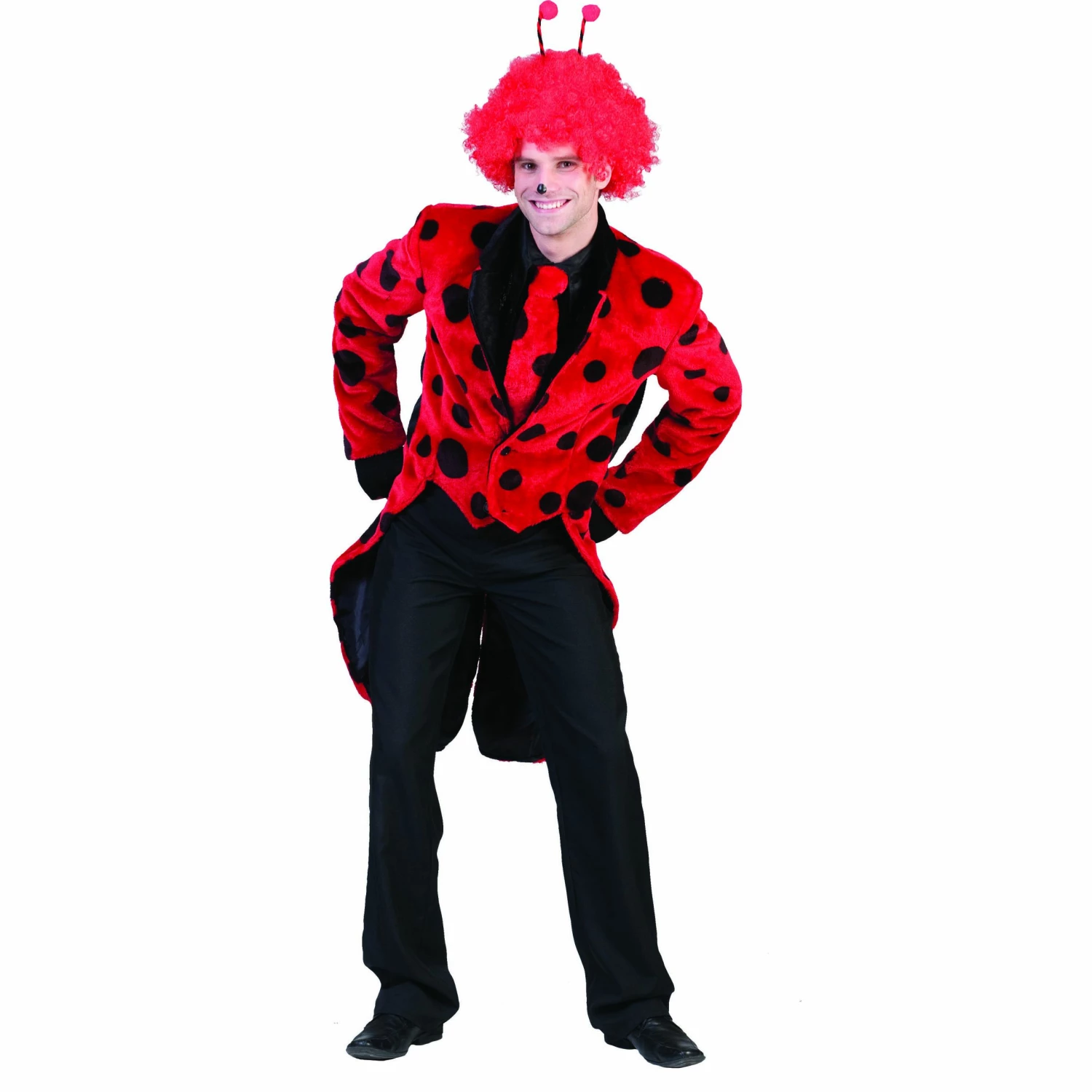 Lieveheersbeestje Man 1 Lieveheersbeestje Man