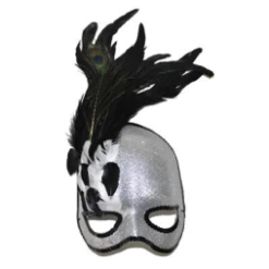 Venetiaans Oogmasker Zilver Met Veren