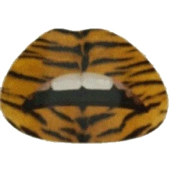 Lip Stikker Panter