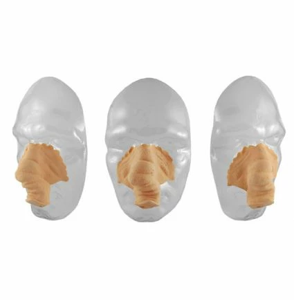 Olifanten Neus Nr. 24 - Afbeelding 2