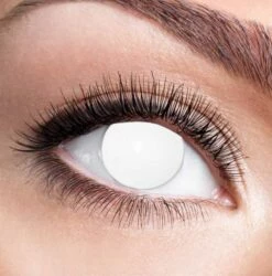 Party Lenzen Blind White