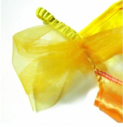 Disney™ Belle -FeestKledij Winkel jurkje ballerina rapunzel peuter4