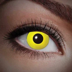 Party Lenzen UV Geel Jaarlenzen