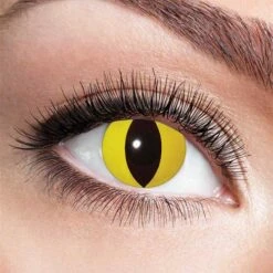 Party Lenzen Yellow Cat